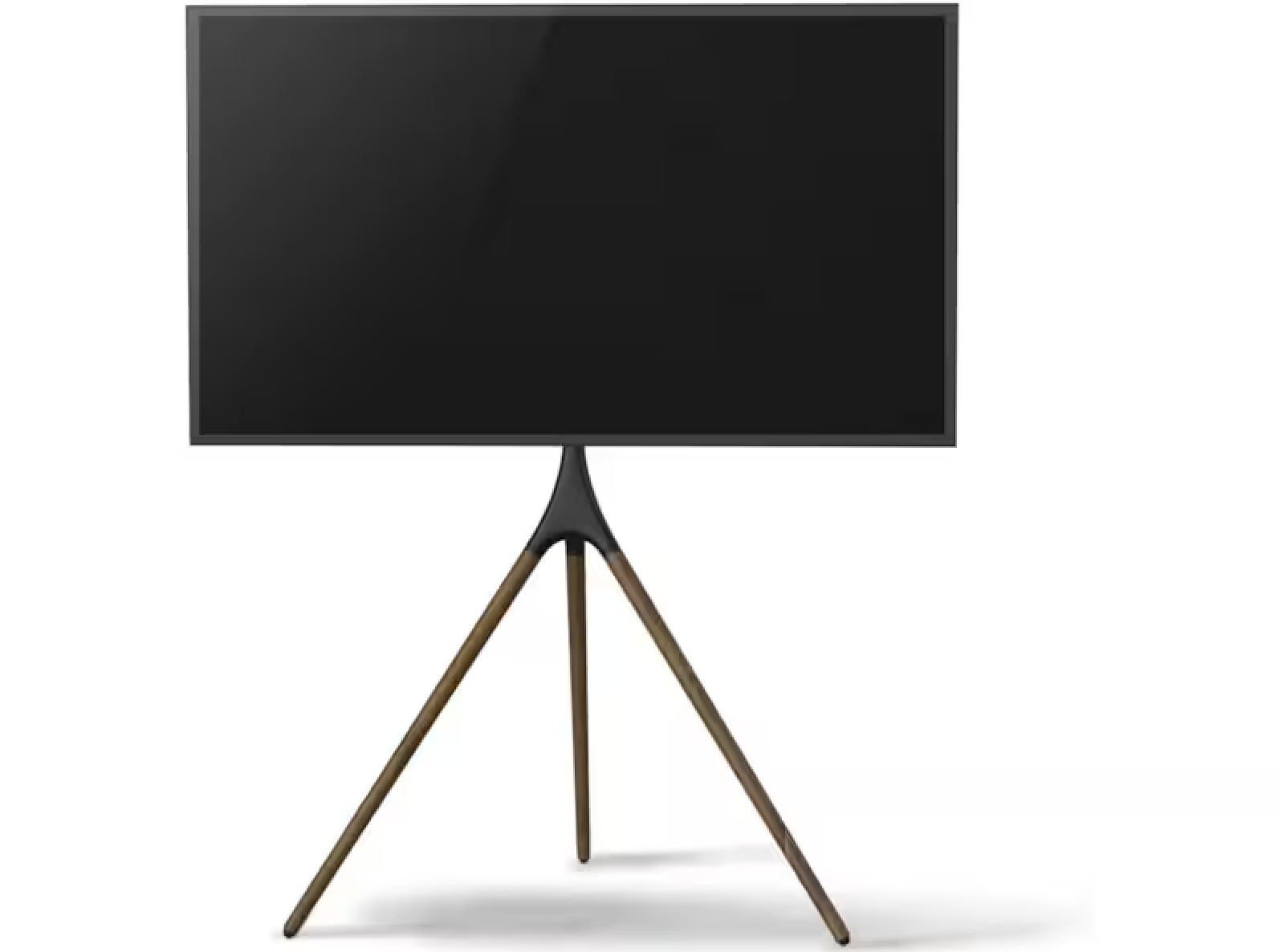 55” TV på stativ – perfekt för event, mässor & bröllop
